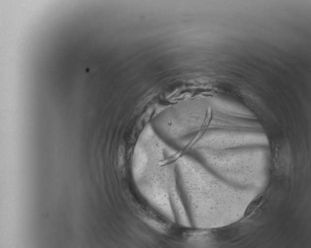 X0000080110132200612221814