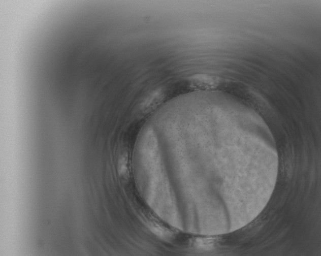 X0000080110134200612221814