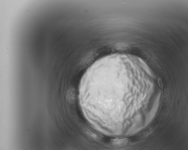 X0000080110135200612221814