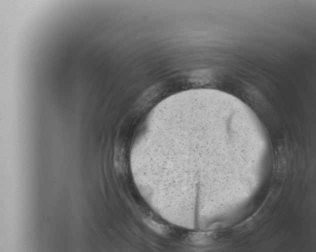 X0000080110136200612221814