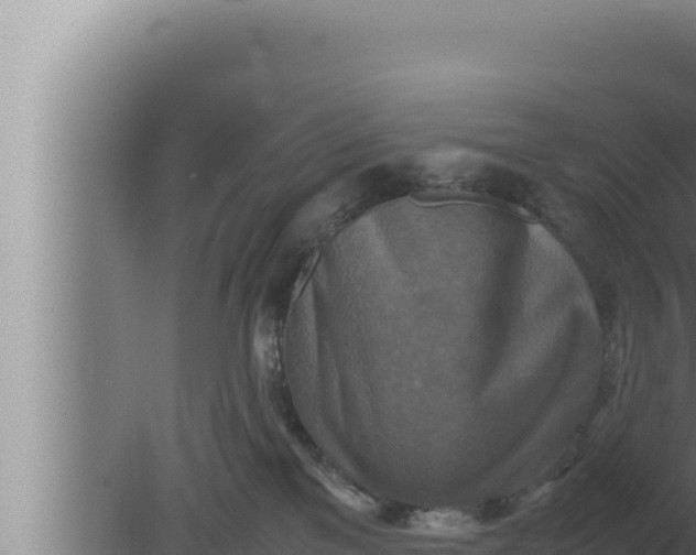 X0000080110137200612221814