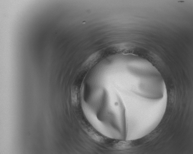 X0000080110138200612221814