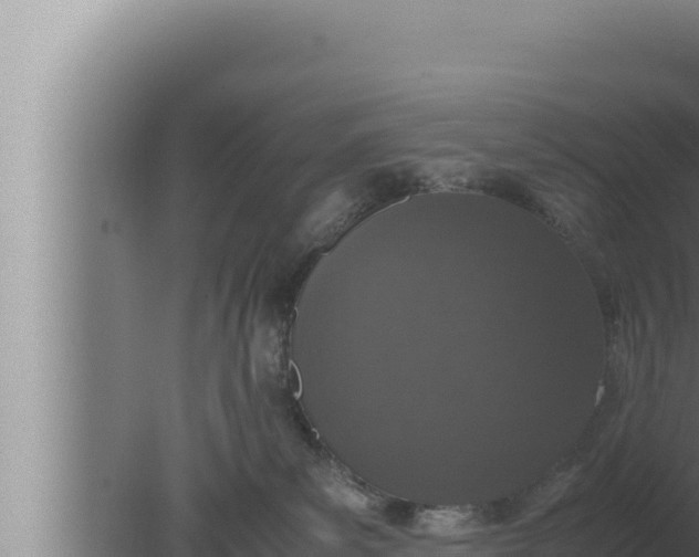 X0000080110139200612221814