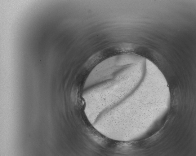 X0000080110140200612221814