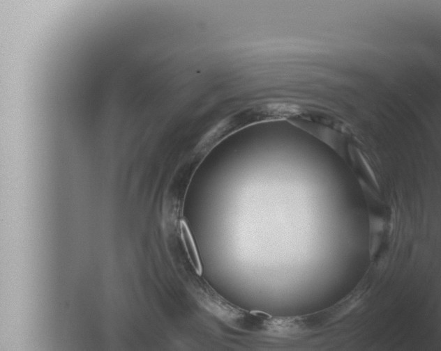 X0000080110141200612221814