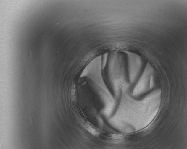 X0000080110144200612221814