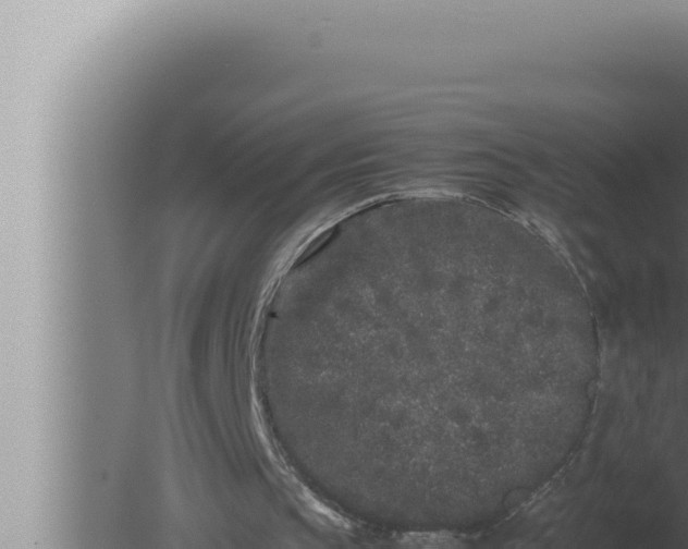 X0000080110145200612221813