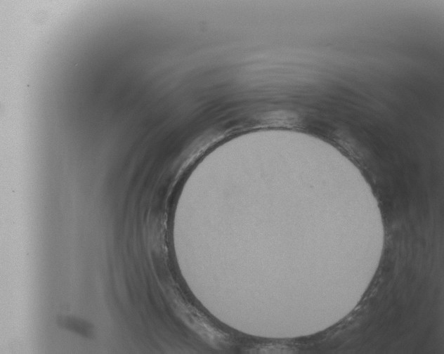 X0000080110146200612221813