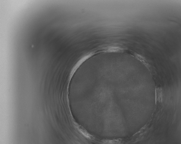 X0000080110147200612221813