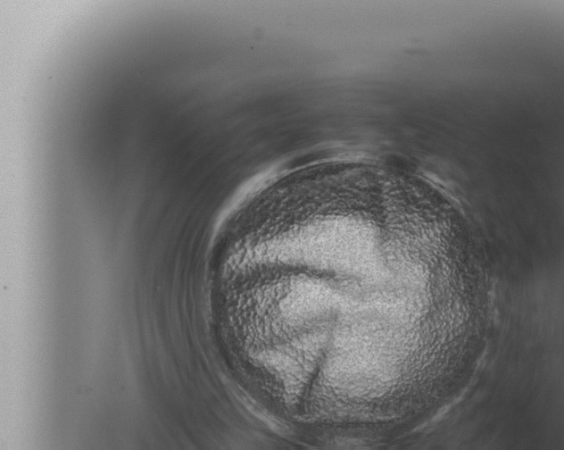 X0000080110149200612221813