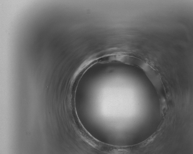 X0000080110150200612221813