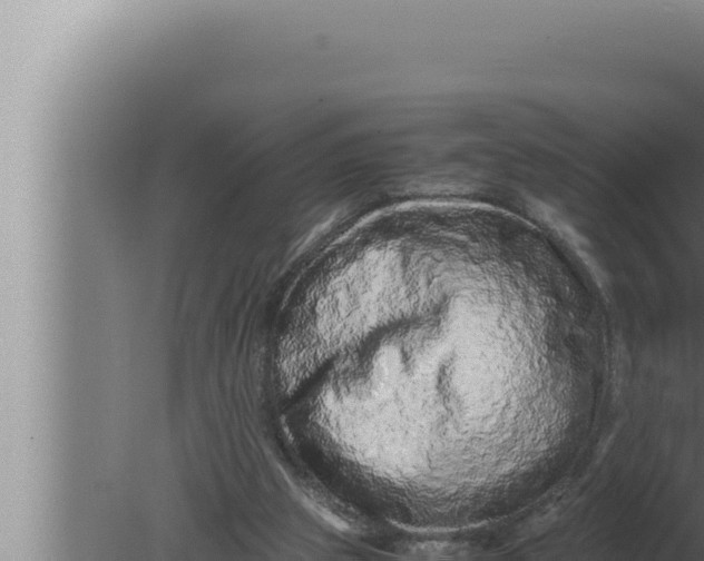 X0000080110153200612221814