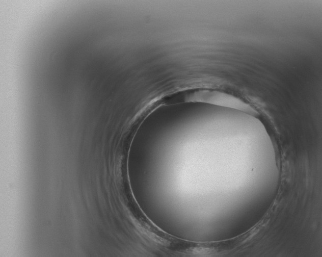 X0000080110154200612221814