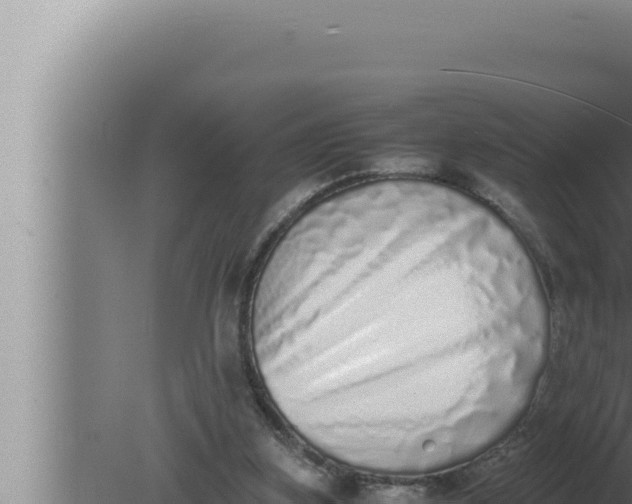 X0000080110155200612221814