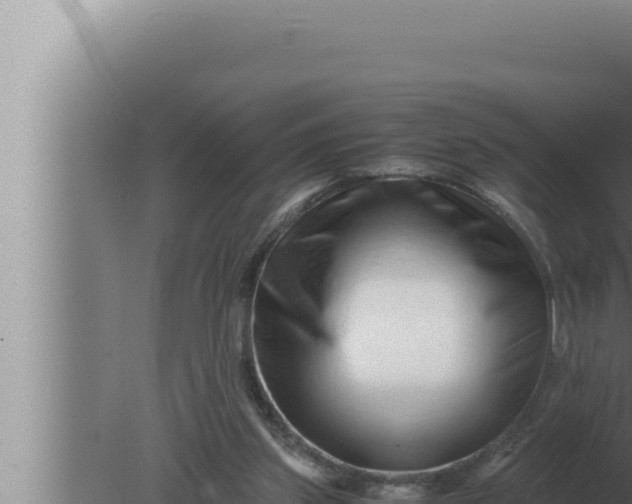 X0000080110157200612221814