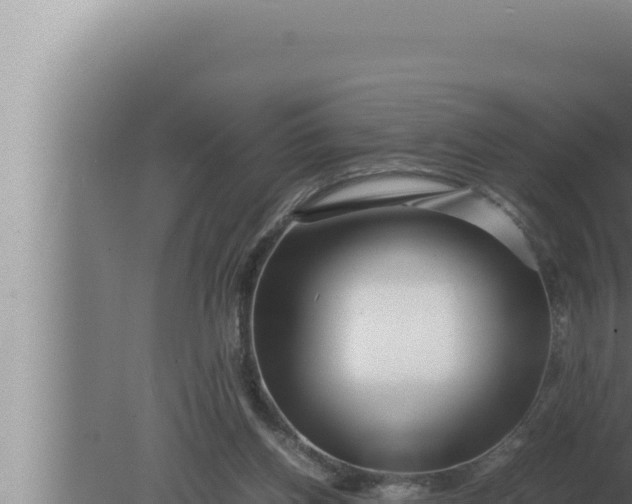 X0000080110158200612221814