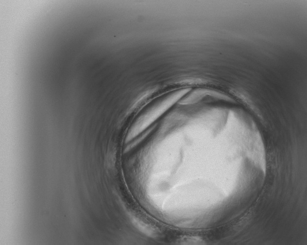 X0000080110159200612221814