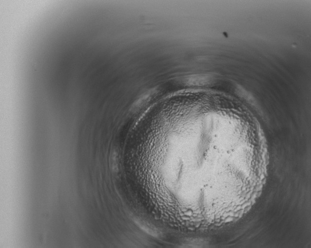 X0000080110161200612221814