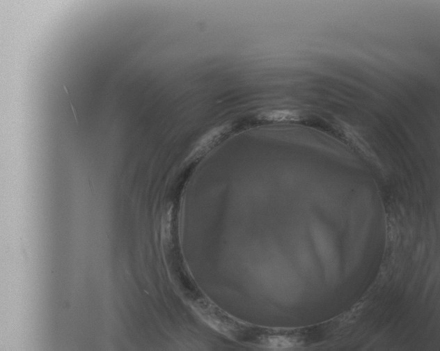 X0000080110163200612221814