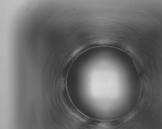 X0000080110164200612221814