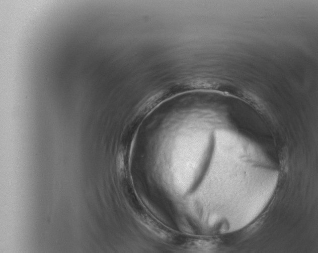 X0000080110166200612221814