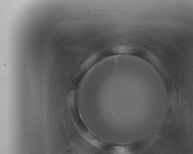 X0000080110167200612221814