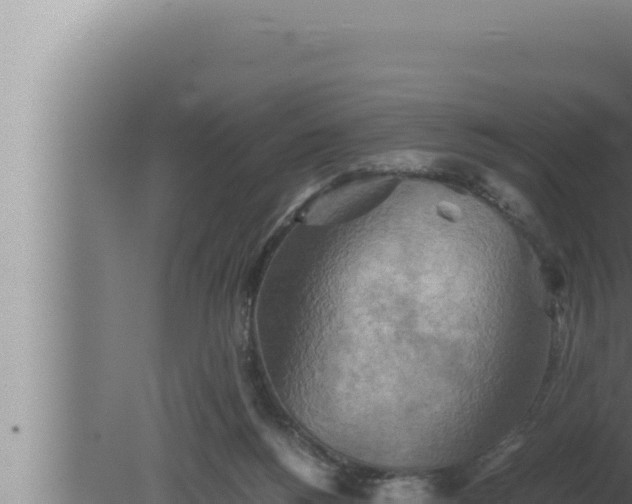 X0000080110168200612221814