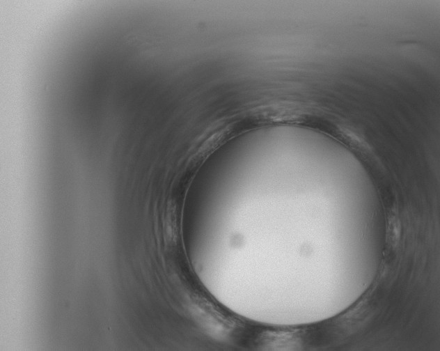 X0000080110170200612221814