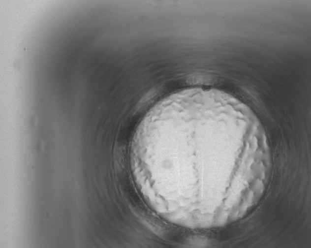 X0000080110171200612221814