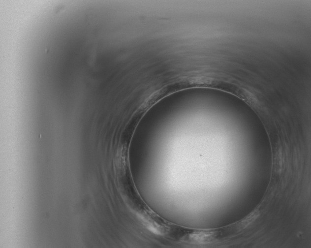 X0000080110172200612221814