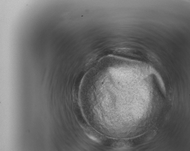 X0000080110173200612221814