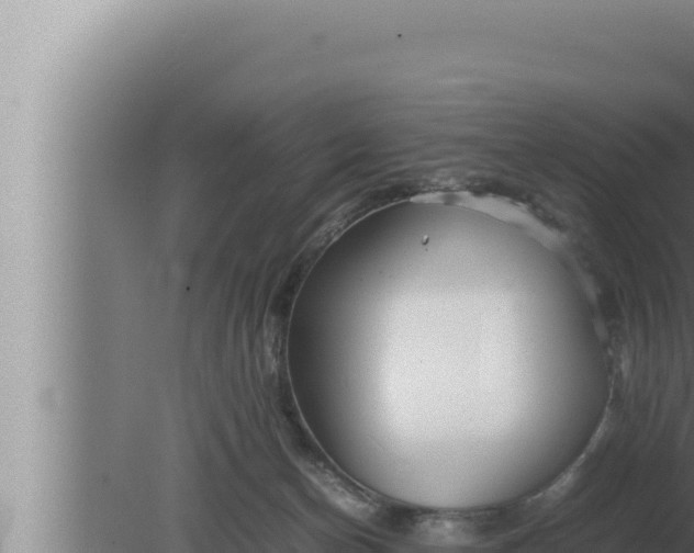 X0000080110174200612221814