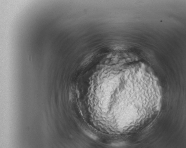 X0000080110175200612221814