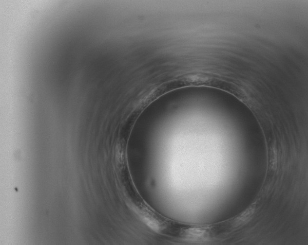 X0000080110176200612221814