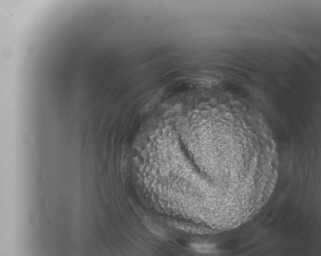 X0000080110177200612221814