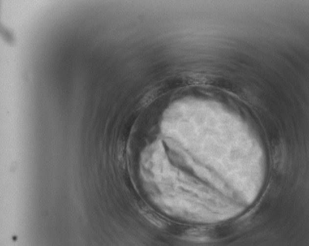 X0000080110178200612221814