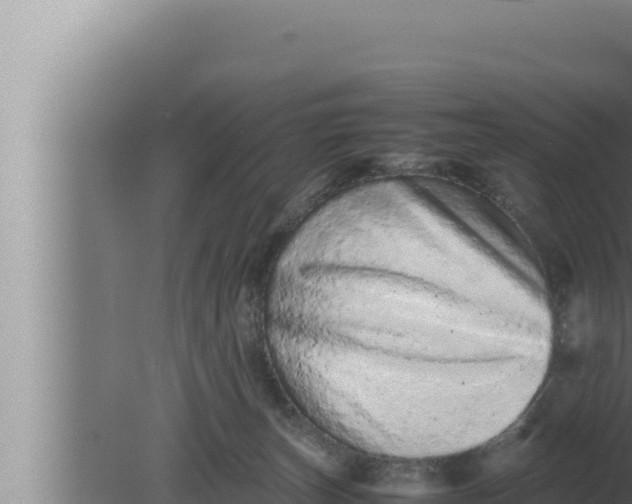 X0000080110179200612221814