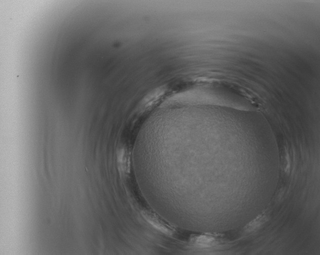 X0000080110180200612221814