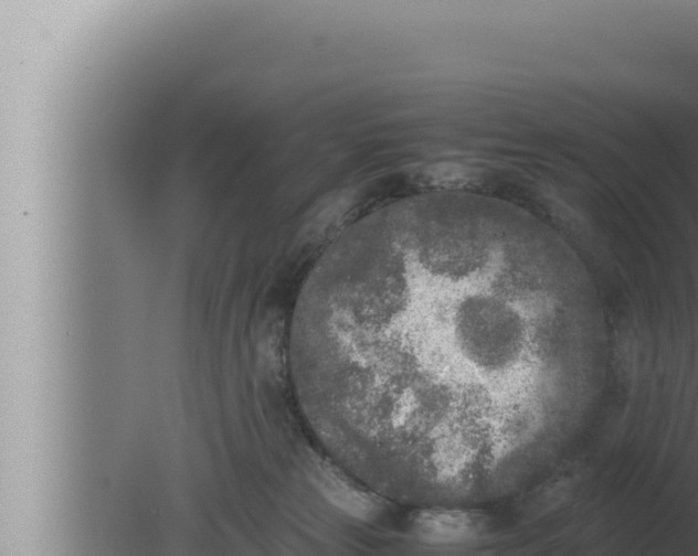 X0000080110181200612221814