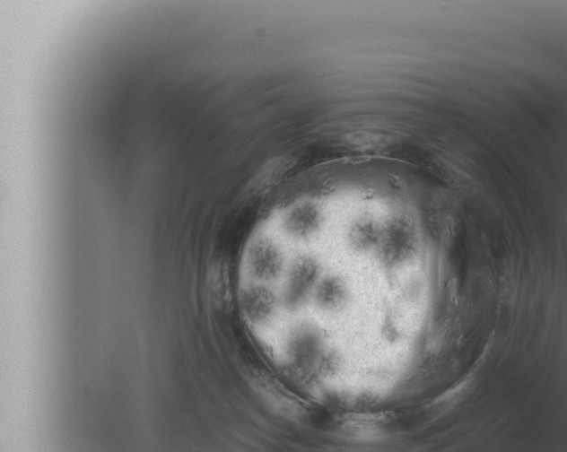 X0000080110182200612221814