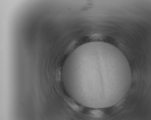 X0000080110183200612221814