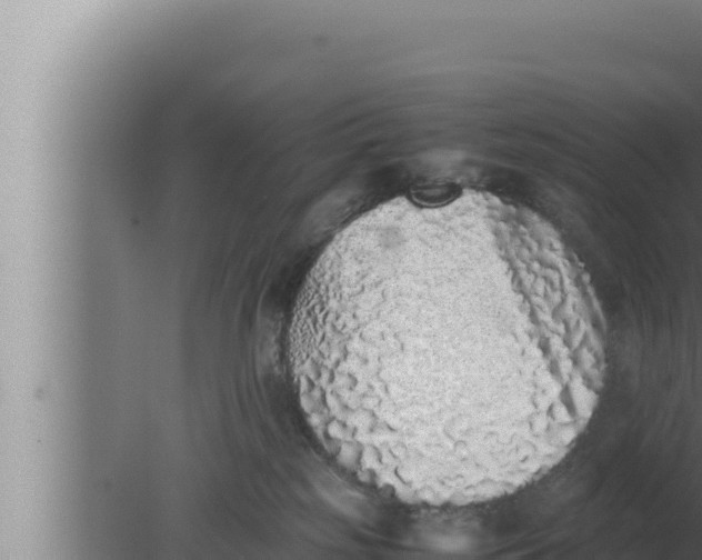 X0000080110185200612221814