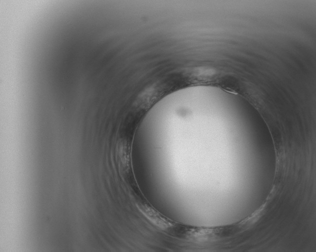 X0000080110186200612221814