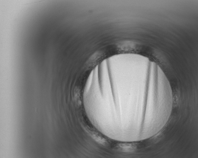 X0000080110187200612221814