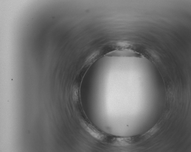 X0000080110188200612221814