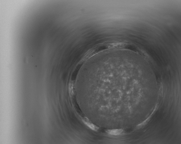 X0000080110191200612221814