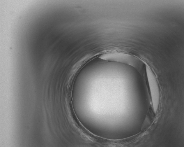 X0000080110193200612221813