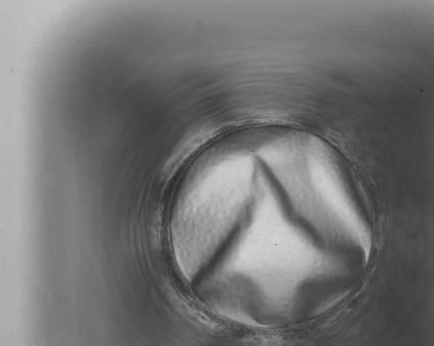 X0000080110194200612221813