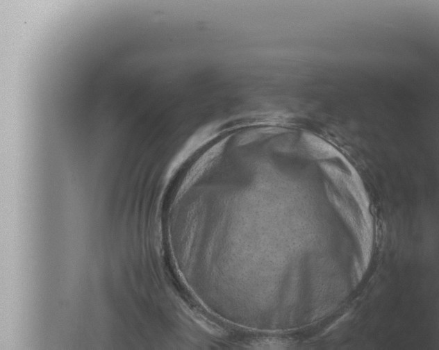 X0000080110198200612221813