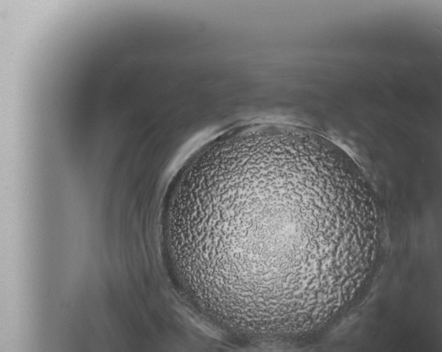 X0000080110199200612221813